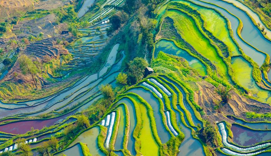 走进临河区TVC拍摄：解锁本地化场景与创意镜头的完美融合